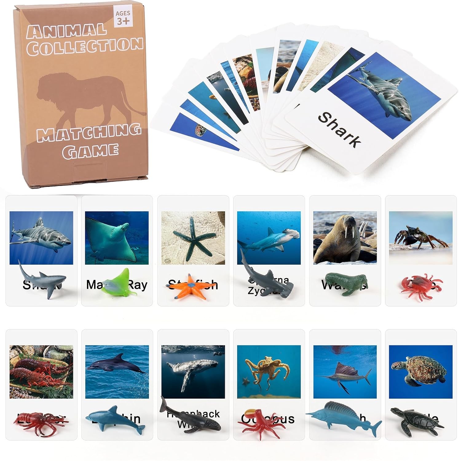 Marine Animal Montessori Match Game Cards Learning Materials Kids Matching Game