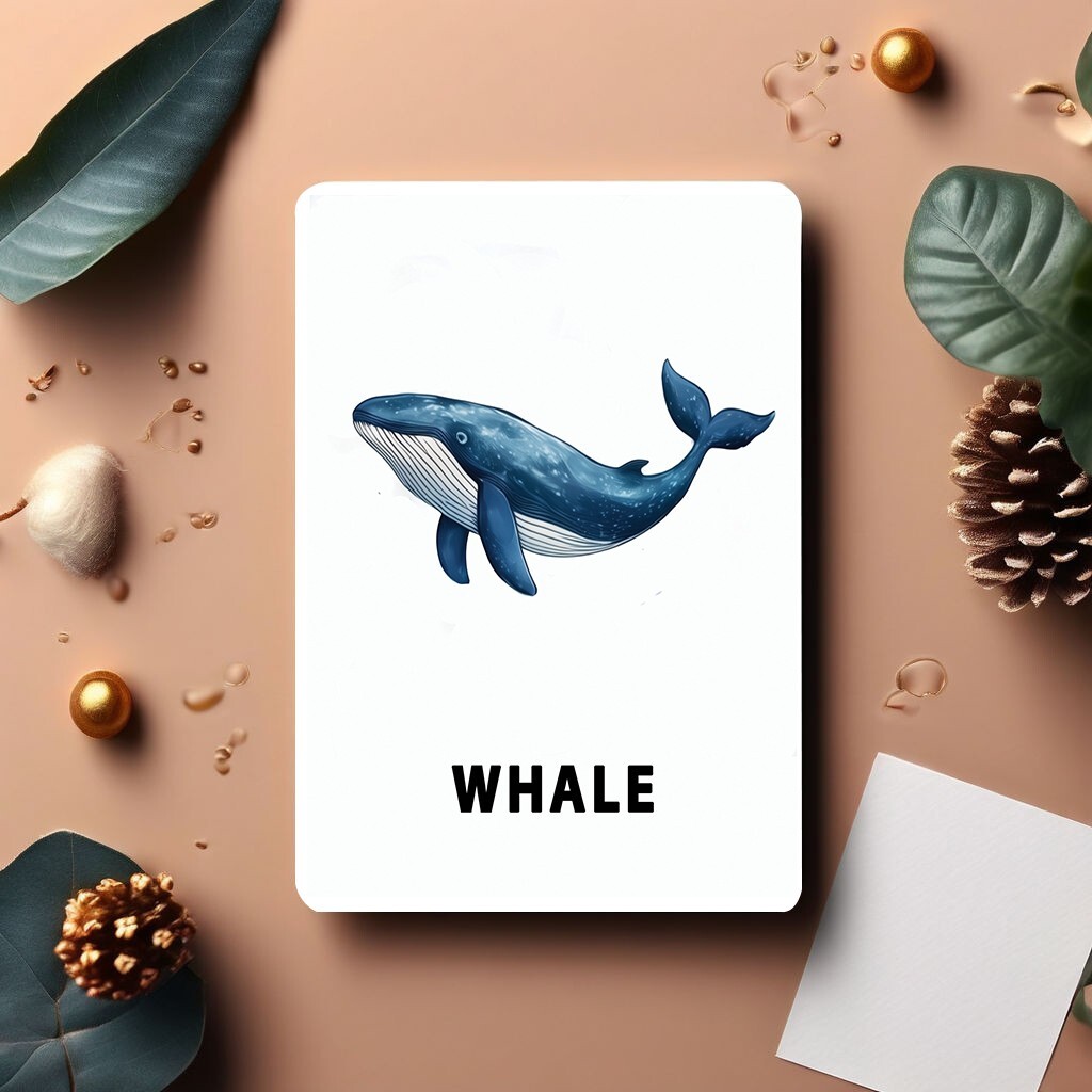 Printable Sea Animals Flash Cards-Montessori-Inspired 30 Card Set for Preschool