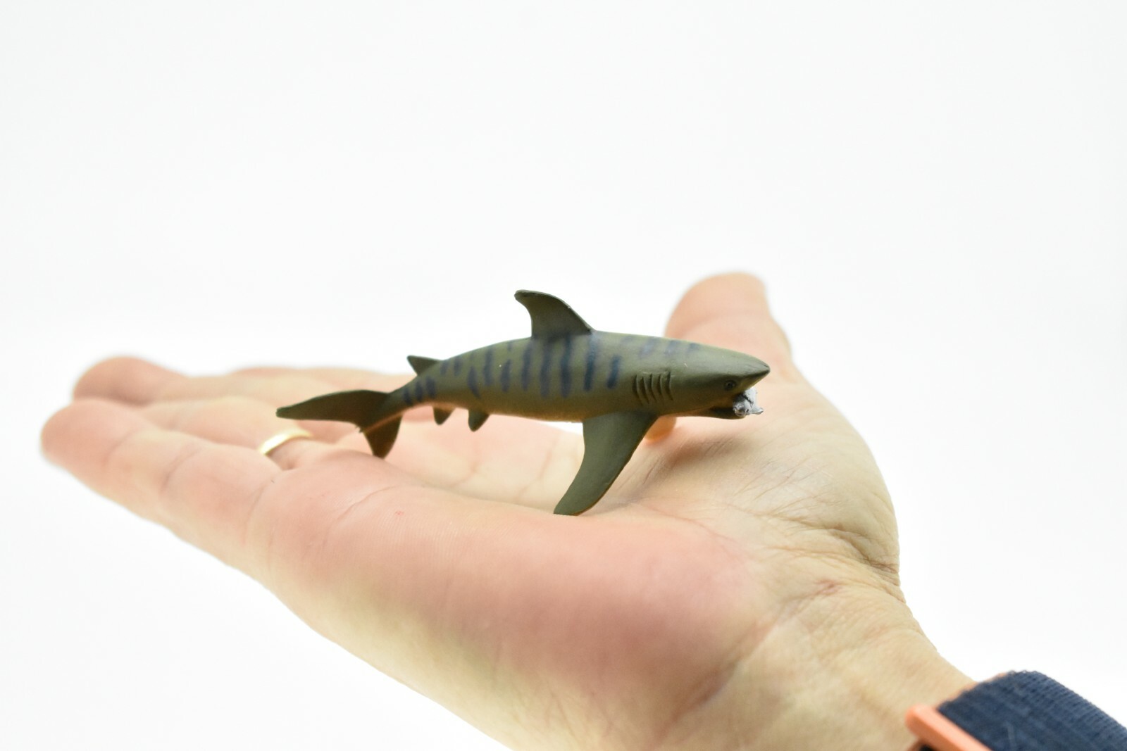 Tiger Shark, With Fish in Mouth, Very Nice Plastic Replica 3″ – F237 B76