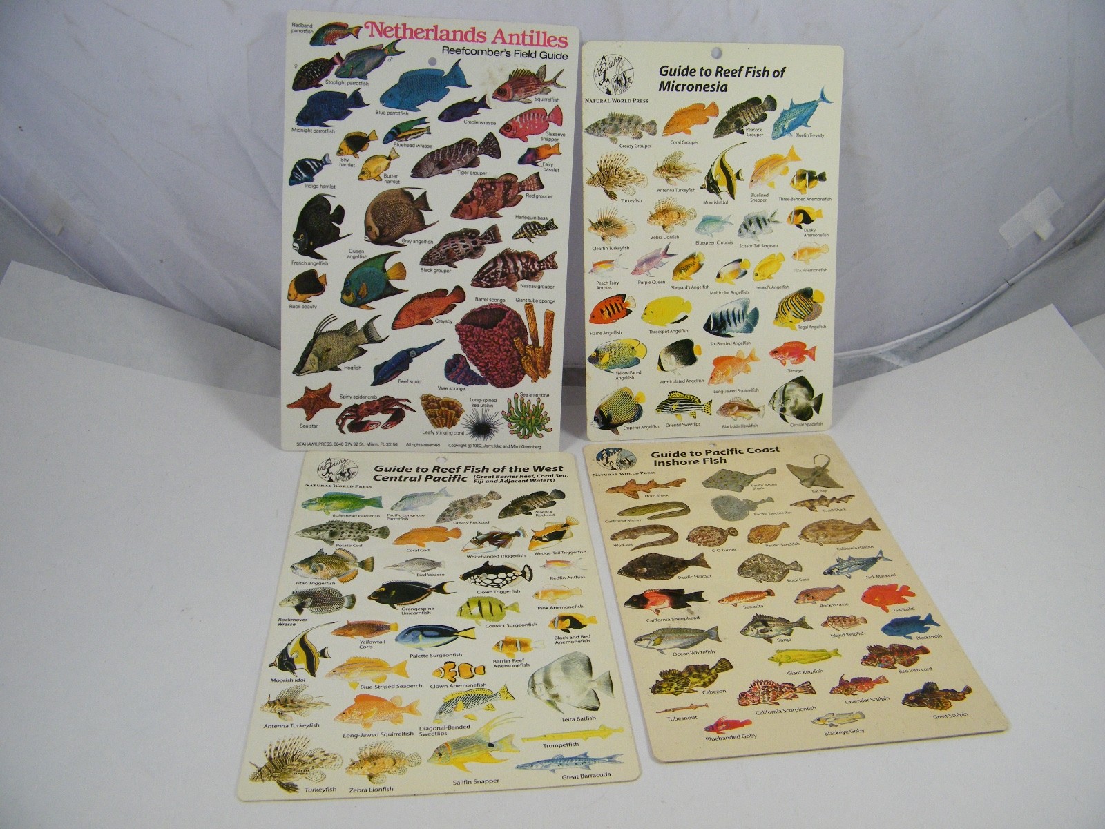 4 FISH GUIDE CARDS NETHERLANDS ANTILLES, MICRONESIA, W CENTRAL PACIFIC, PACIFIC
