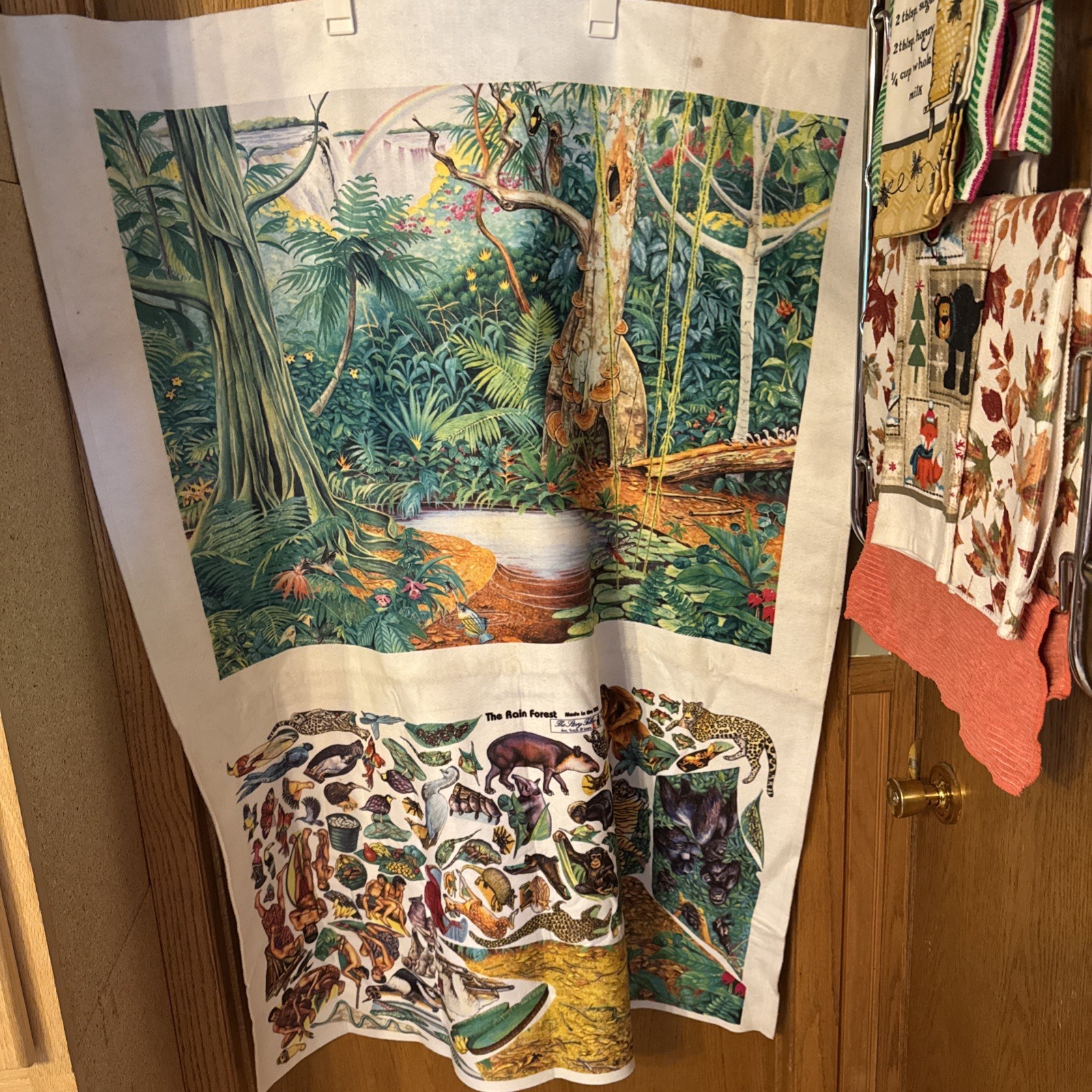 Story Teller Rain Forest Felt Flannel Board 38 X 28 w/Village Animal Set Spots