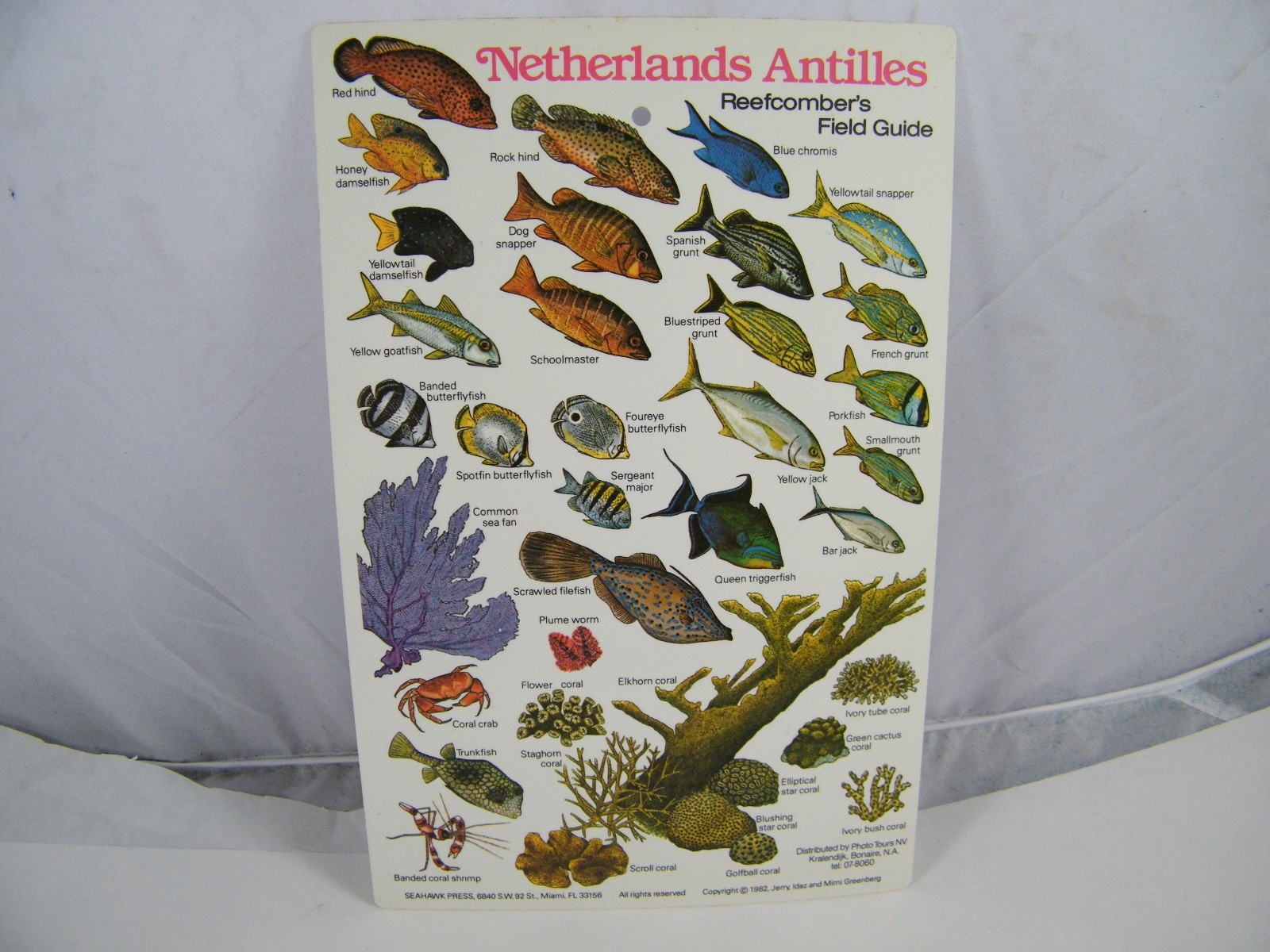 4 FISH GUIDE CARDS NETHERLANDS ANTILLES, MICRONESIA, W CENTRAL PACIFIC, PACIFIC