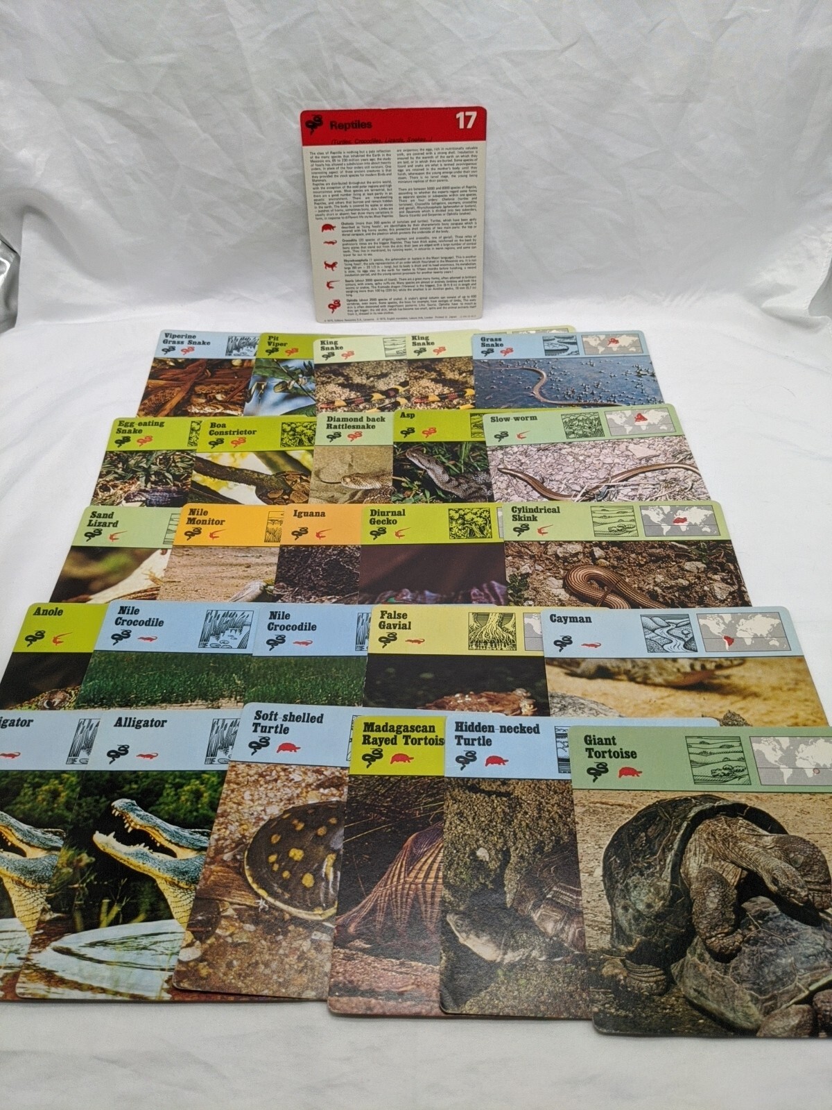 Lot Of (26) 1975 Rencontre Reptiles Education Cards