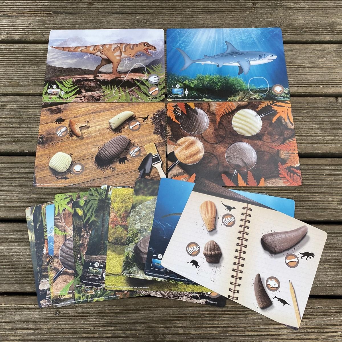 Yellow Door Sensory Prehistoric Teeth Stones and Activity Cards Set