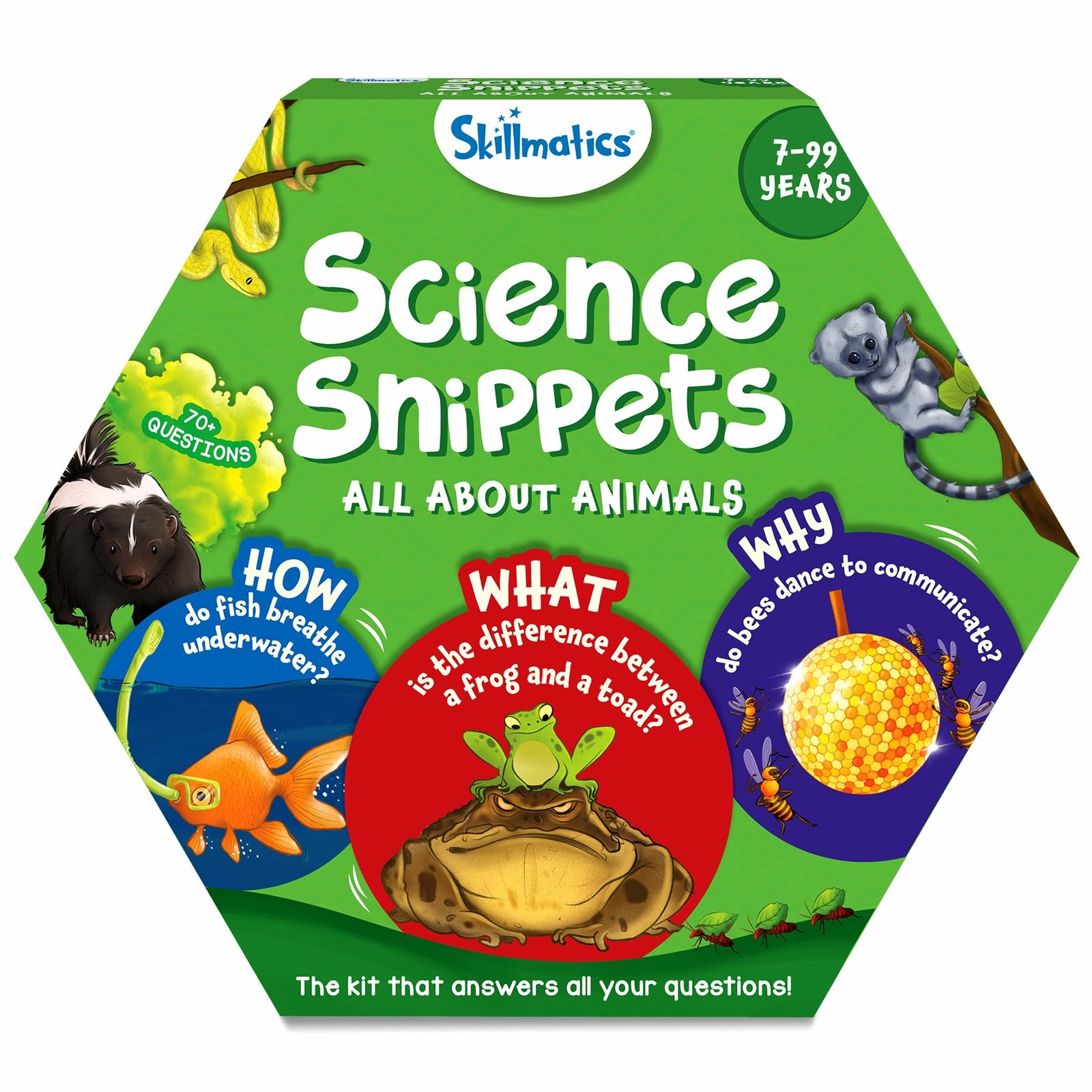 Skillmatics Flash Cards – Science 9.45 x 10.8 x 1.97 inches, Multicolor