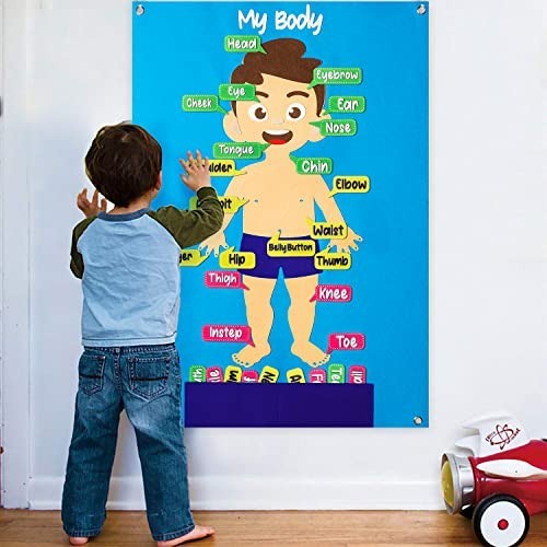 35Pcs Felt Body Parts Learning Set – Educational Storyboard for Kids, Interactiv