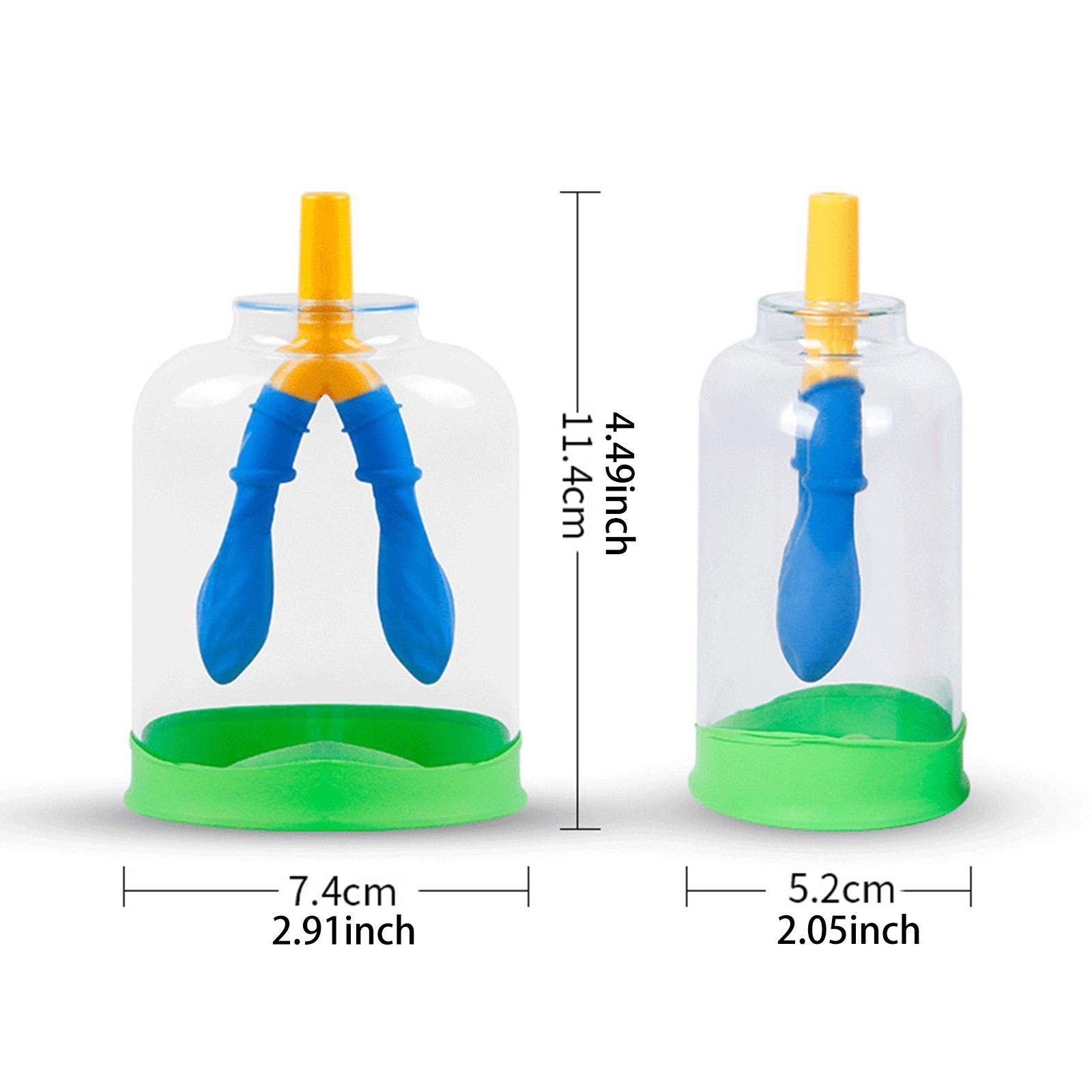 Lung Breathing Demonstration Model Biology Teaching Props for Boys and Girls