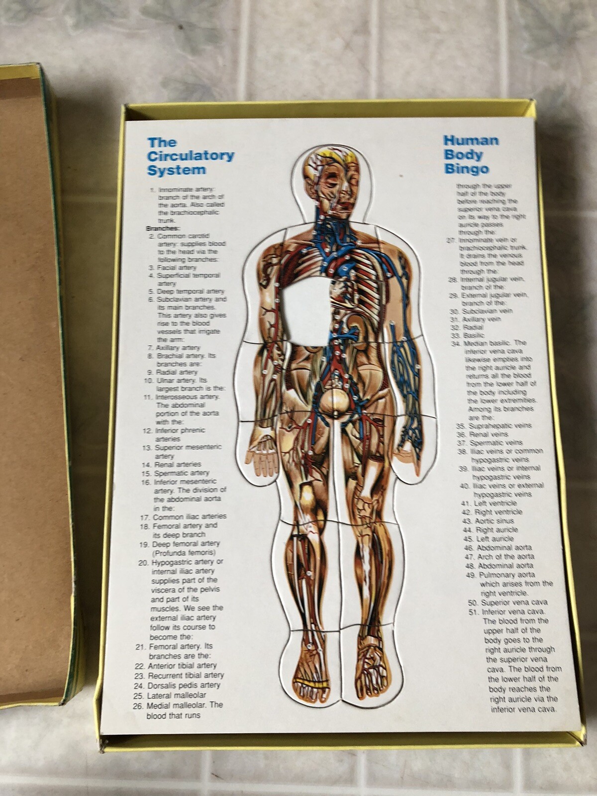 Vintage Human Body Bingo Puzzle , Anatomy Biology Life Science Safari LTD