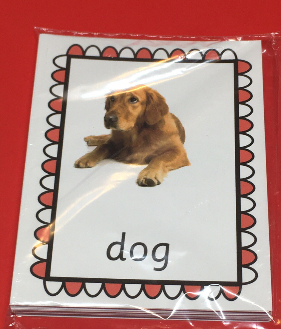 Preschool Learning Fun with CVC words – FUN WITH LEARNING FLASH CARDS