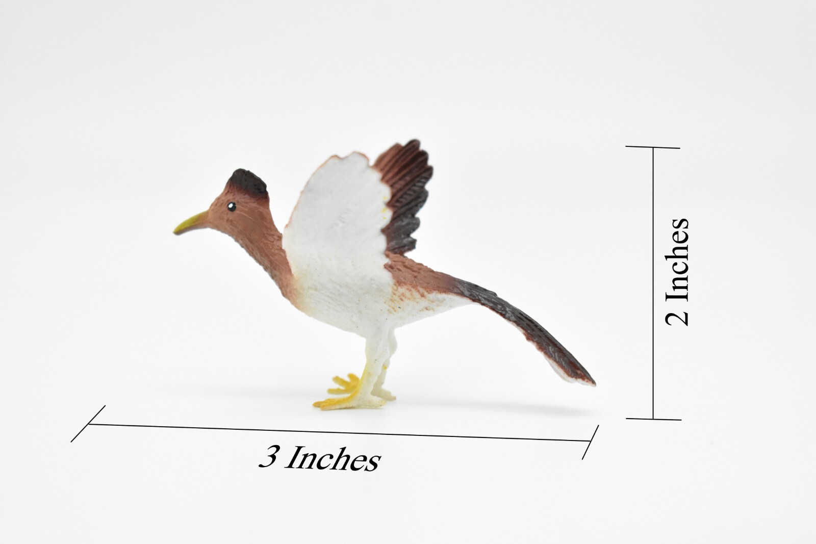 Roadrunner, Bird Toy, Very Nice Plastic Model, Hand Painted 3″ F623 B131