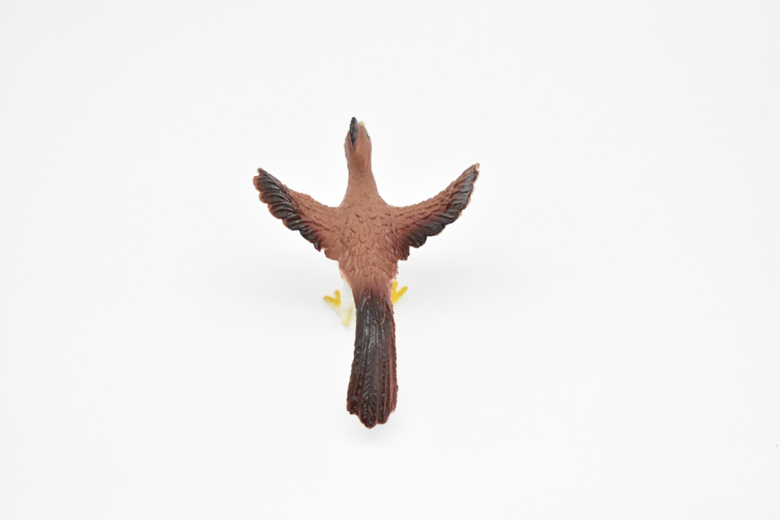 Roadrunner, Bird Toy, Very Nice Plastic Model, Hand Painted 3″ F623 B131