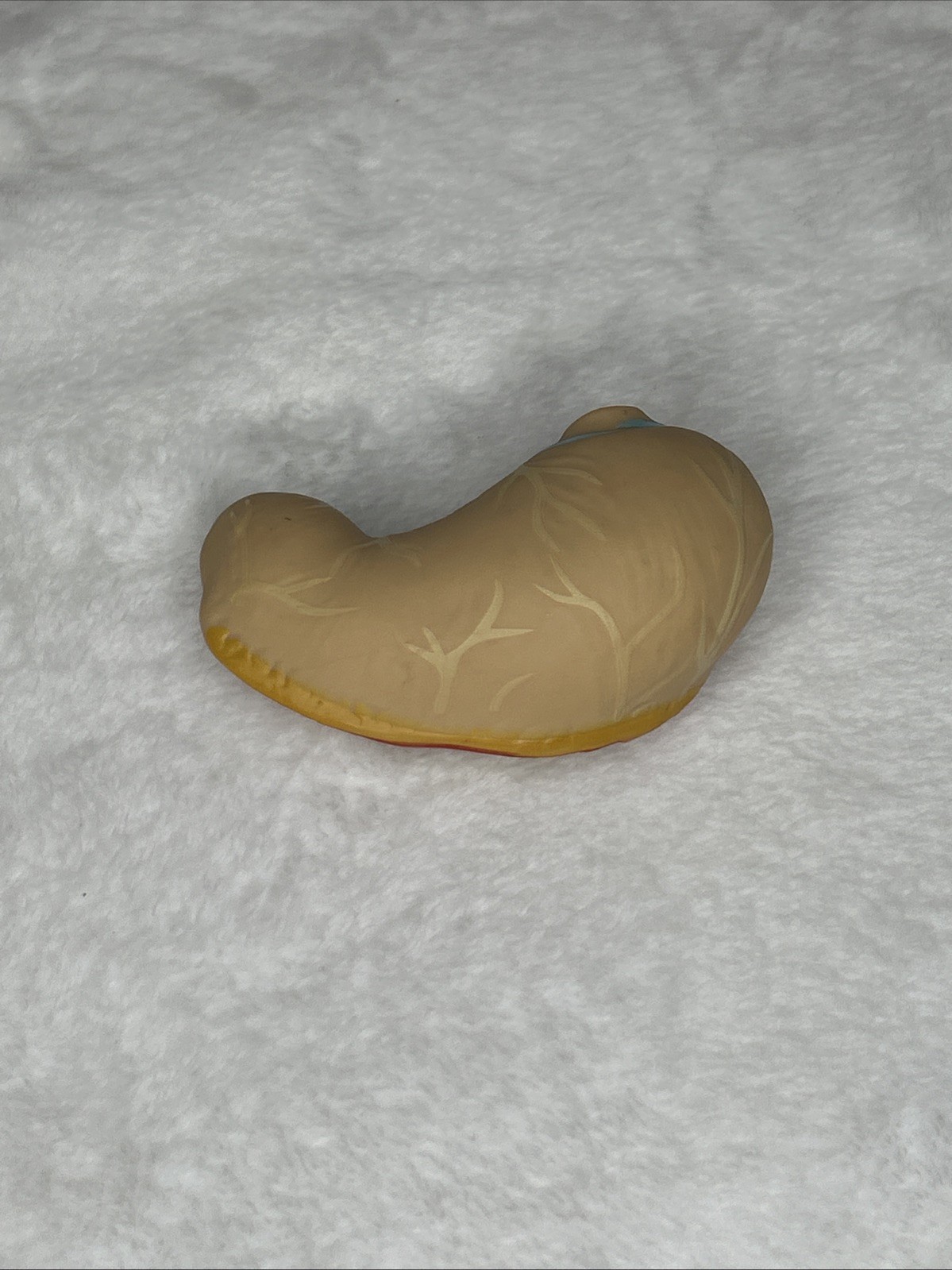 Parts For EDU Human Torso Model Kit 50cm Heart Stomach Liver Lungs Brain Lungs