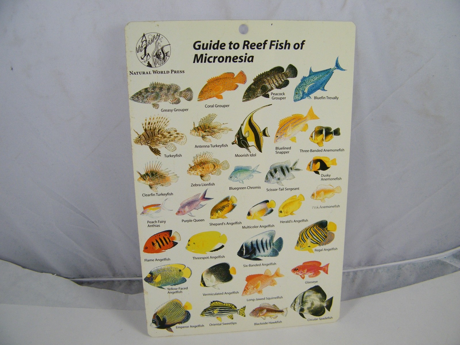 4 FISH GUIDE CARDS NETHERLANDS ANTILLES, MICRONESIA, W CENTRAL PACIFIC, PACIFIC