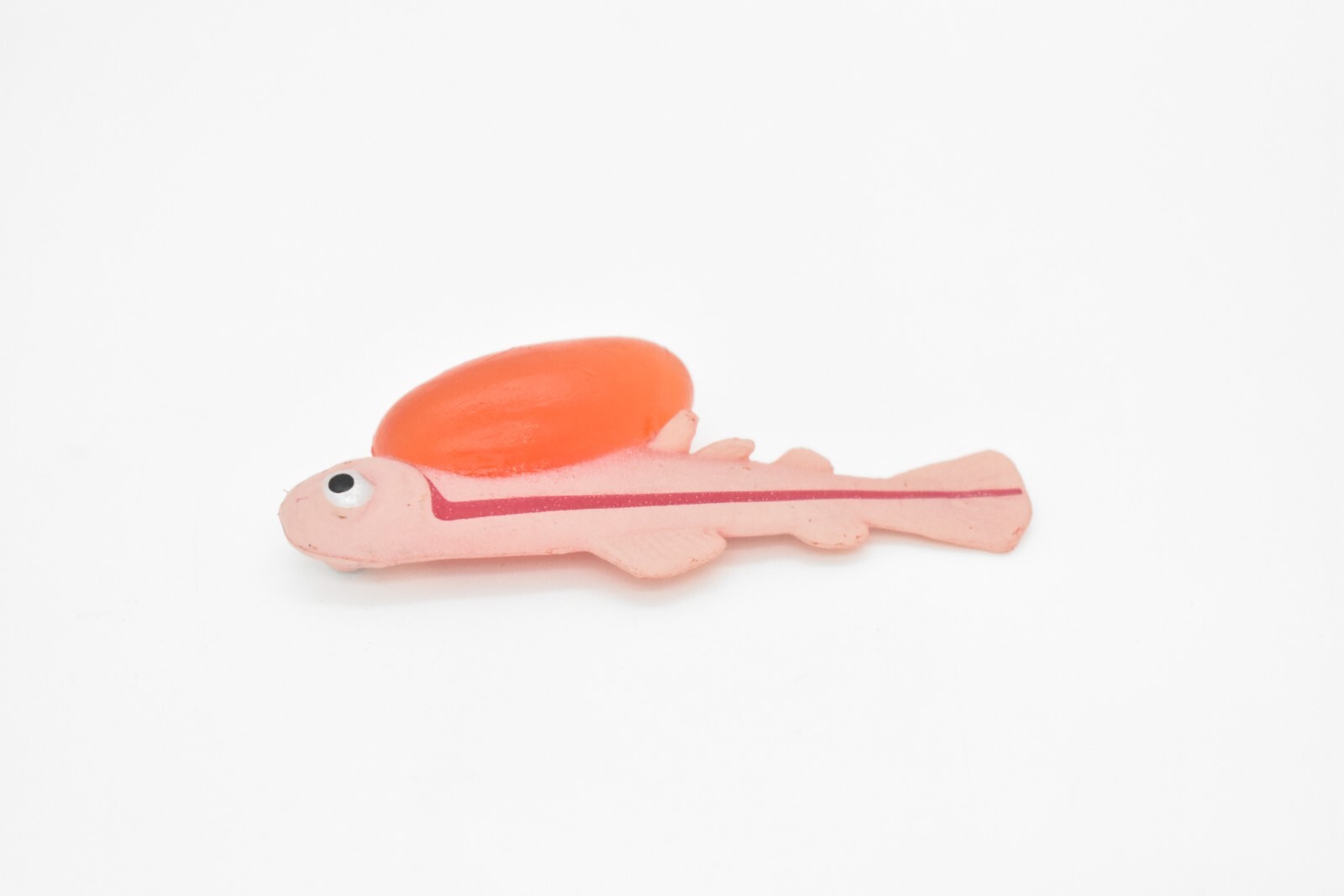 Salmon, Life Cycle, Educational, Plastic, Model, Figure, Fish, Figurine, 5 Piece