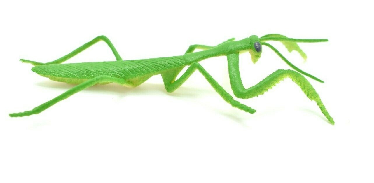 Praying Mantis, Rubber Insect, Toy, Realistic Figure, Model, Kids Gift 4″ F1053