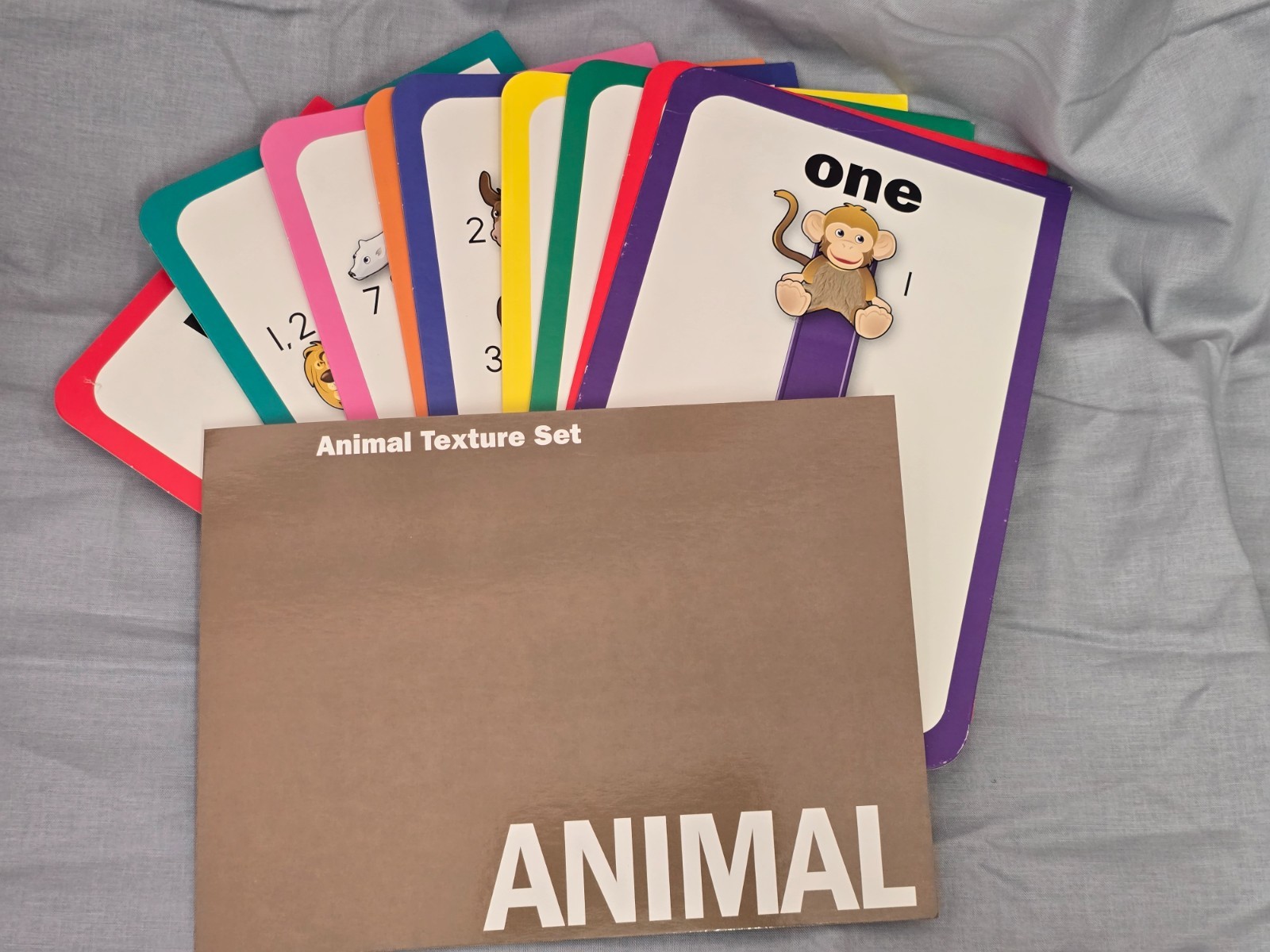 TouchMath Texture Cards Multisensory Math Animals Fruit Shapes 2021 TM1900