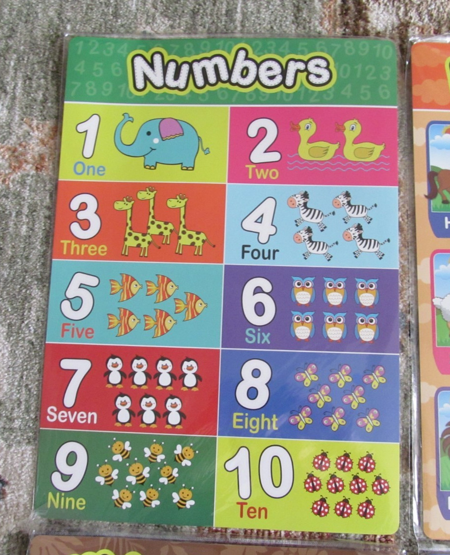 Preschool Educational Learning 11″ x 15.75″ Laminated Poster – Animals + More