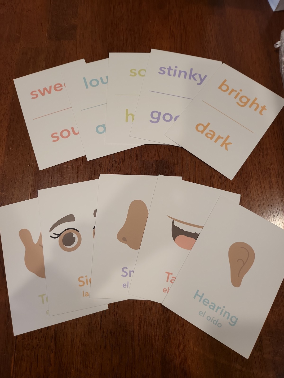 Opposites & 5 Senses Educational Flash Cards Set in Mesh Bag, Ages 3-7
