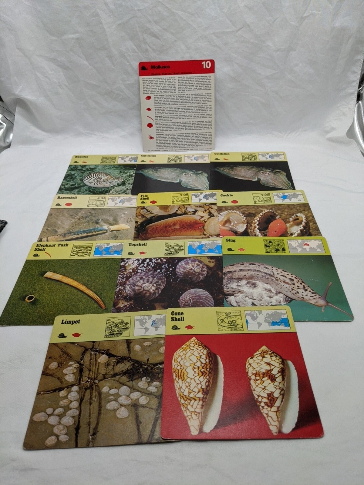 Lot Of (11) 1975 Rencontre Molluscs Education Cards