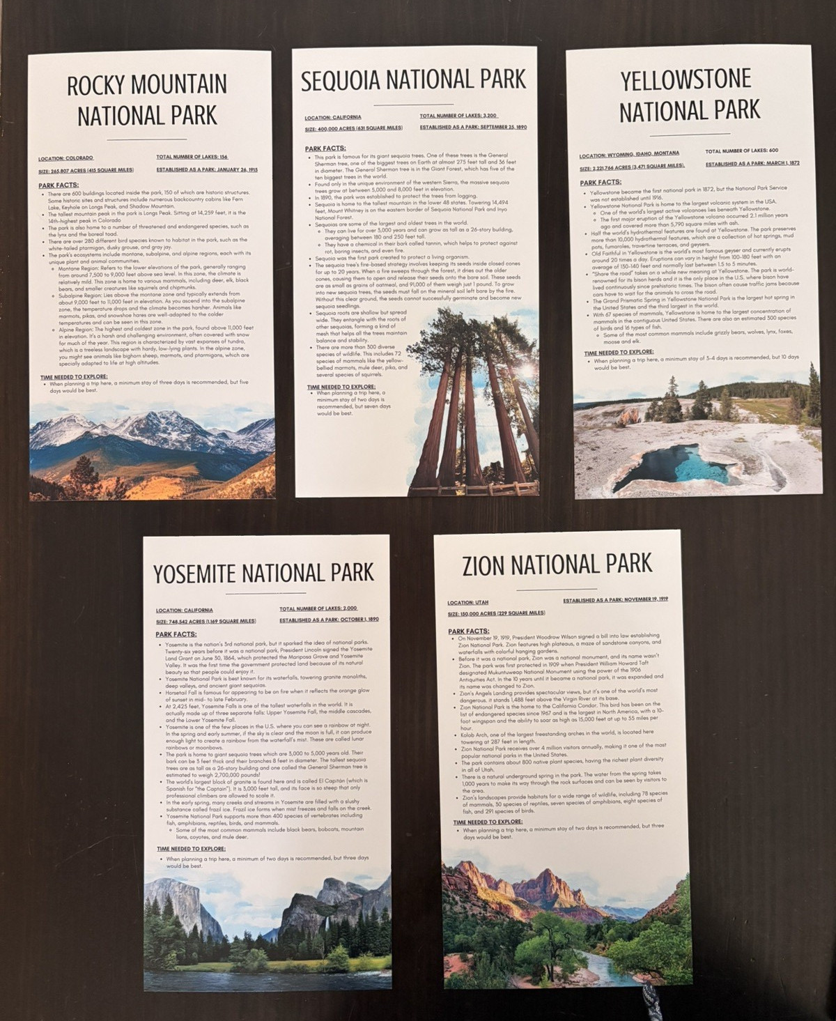 National Park Learning Manipulatives and Book Lot