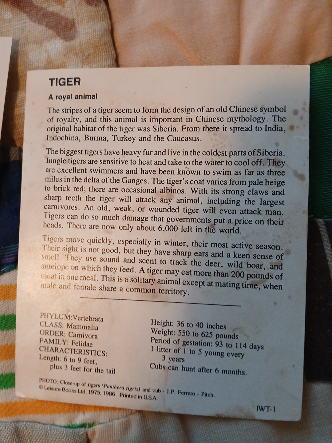 Animal Fact Cards KOALA-TOUCAN-TIGER-Leisure Books LTD 1975/1986 Flash Cards