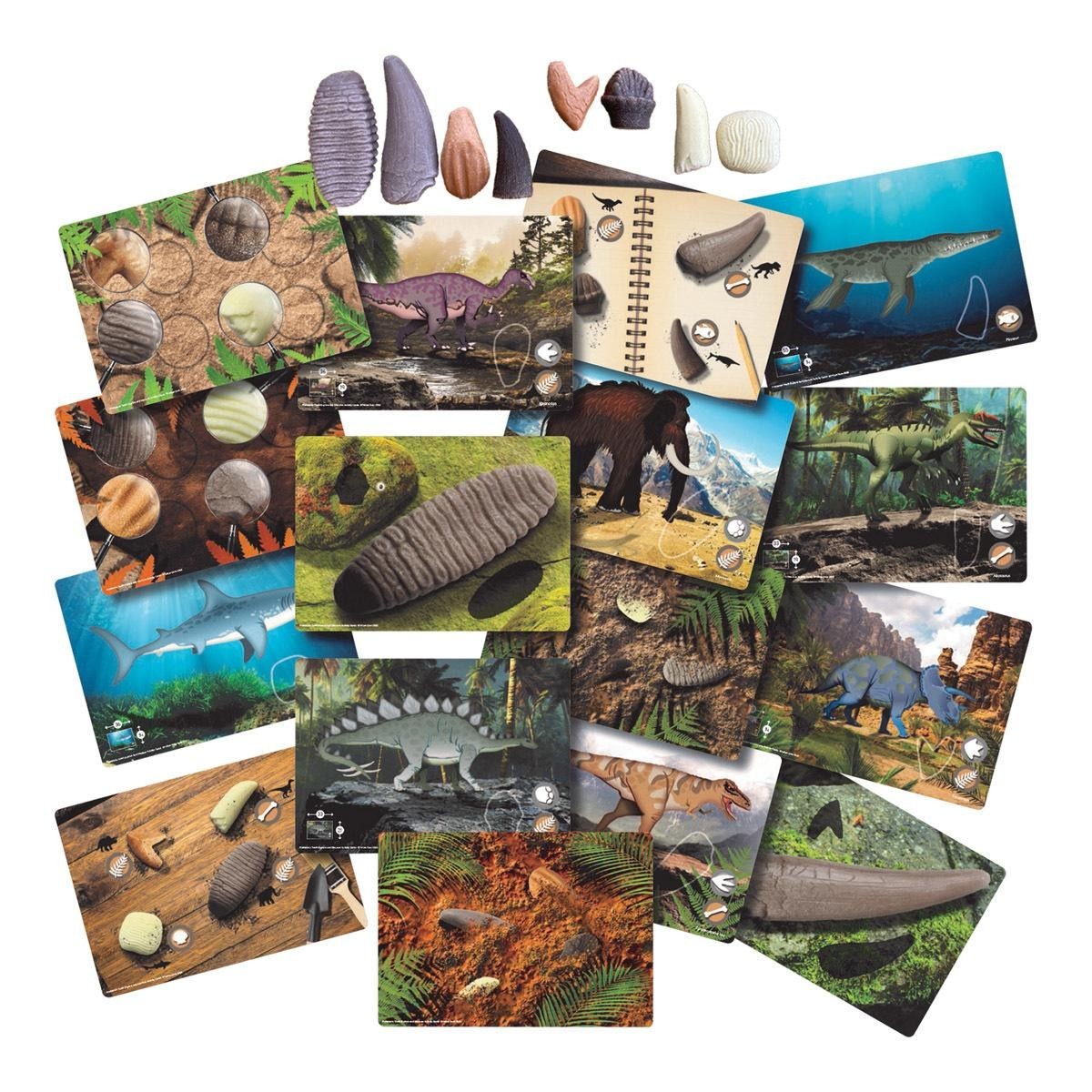 Yellow Door Sensory Prehistoric Teeth Stones and Activity Cards Set