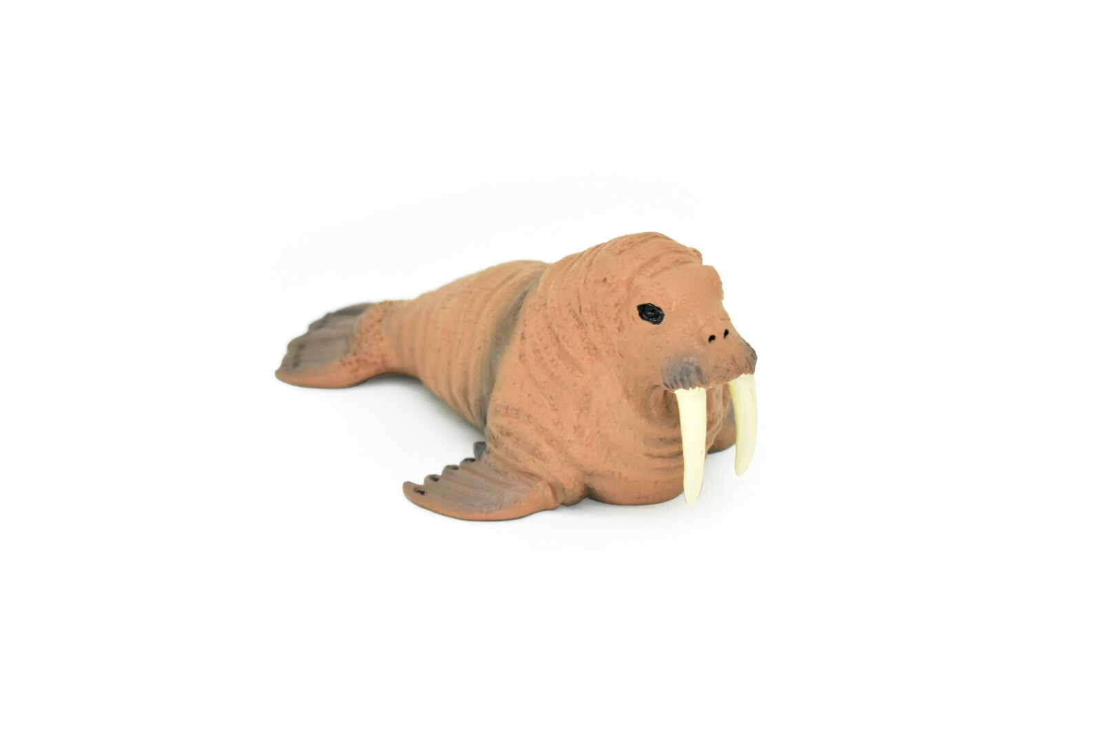 Walrus, Realistic Toy Hard Resin Model Replica, Kids Educational Gift 5″ OK05
