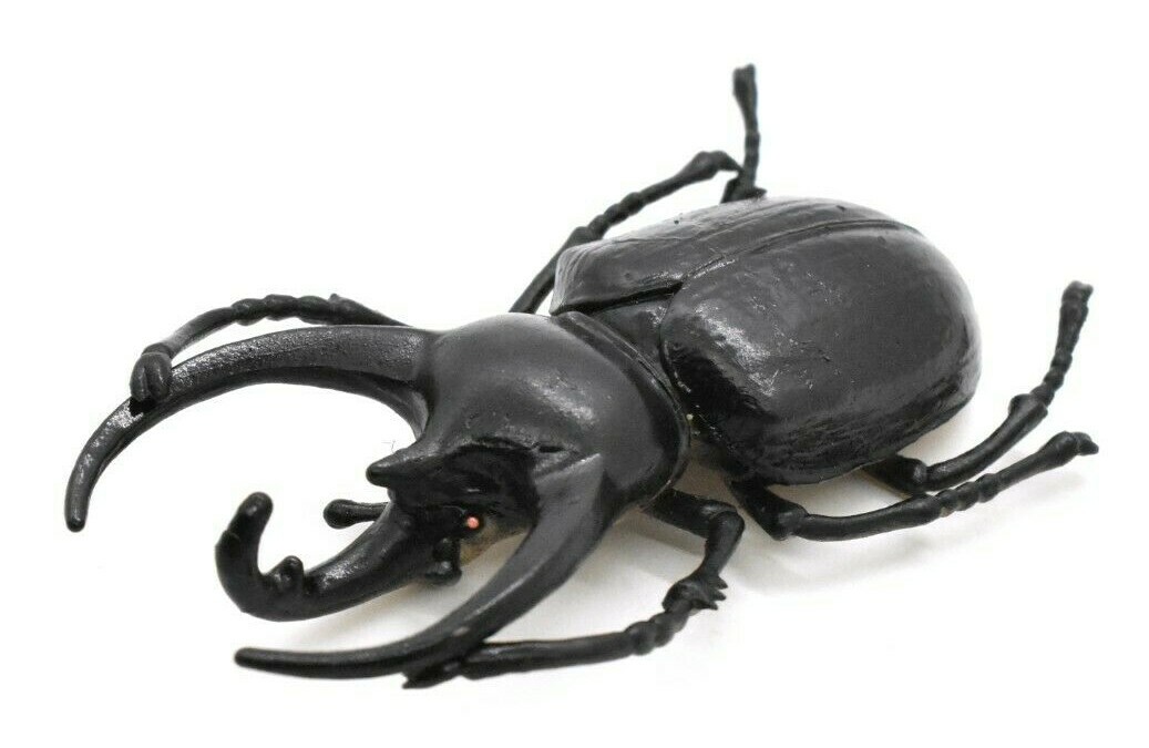Rhinoceros Beetle, Very Nice Rubber Reproduction 2 3/4″ CWG04 B13