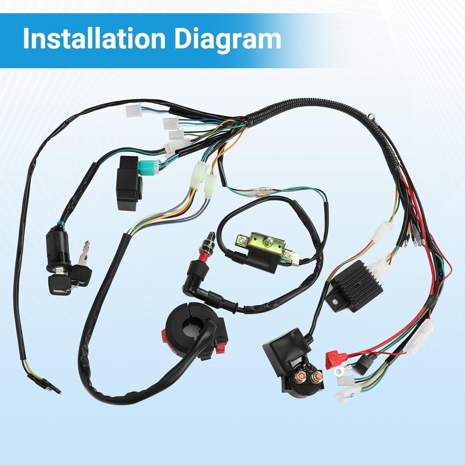 Electric Wiring Harness Kit Compatible with Taotao Coolster 110Cc 125Cc