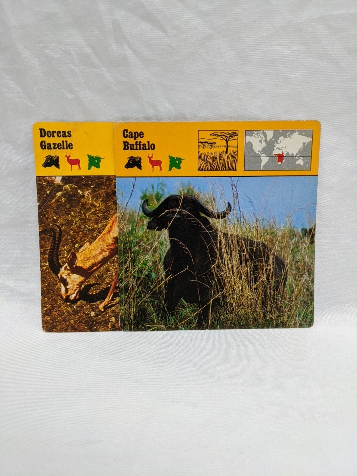 Lot Of (29) 1975 Rencontre Mammals IV Education Cards