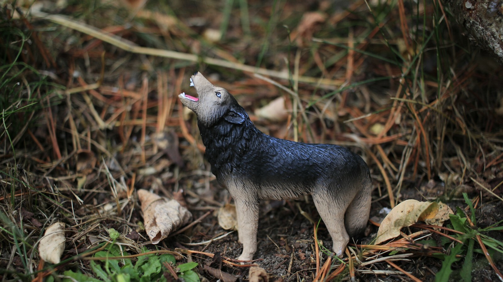 Wolf Howling Realistic Small Toy Model Plastic Replica Forest Animal 4″ M134