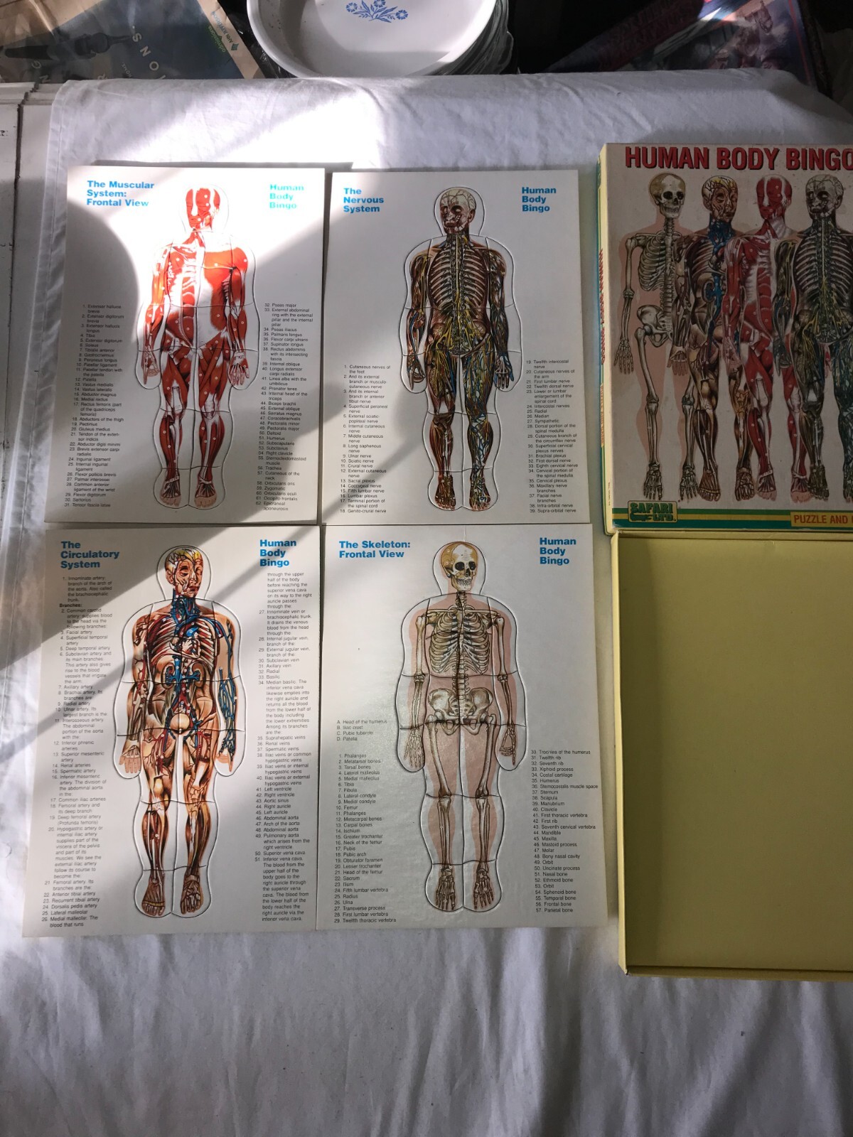 Vintage SAFARI LTD 9590-12 HUMAN BODY BINGO Puzzle & Game ANATOMY Complete w BOX