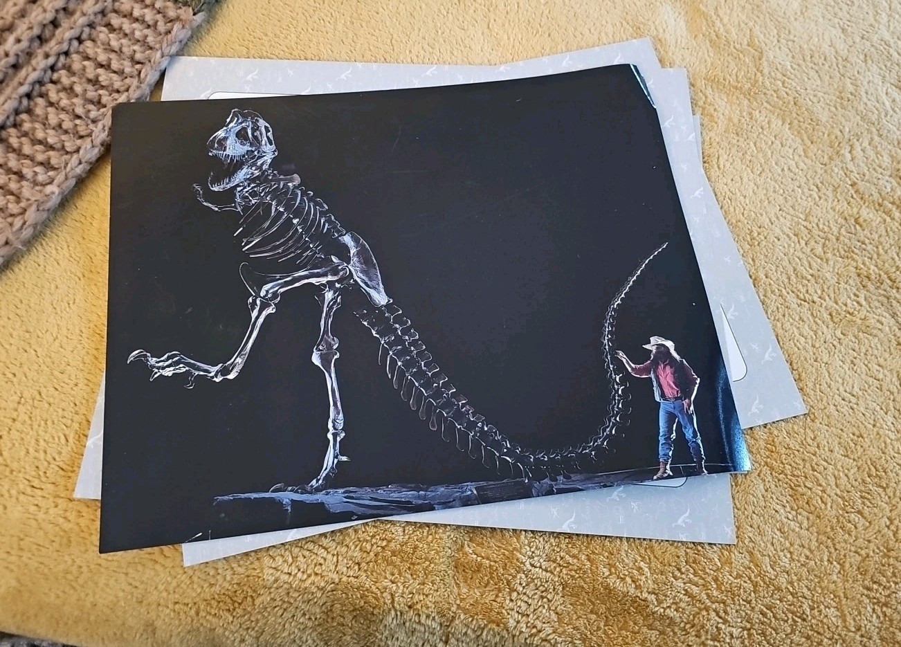 Dinosaur Learning Cards Large Vintage Glossy 8.5″x 11″ Lot (15) Silver Burrdett