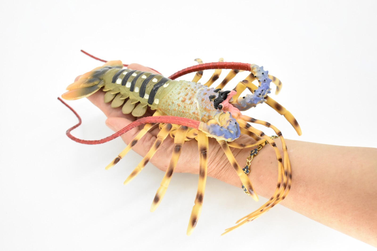 Lobster Toy, Pacific, Australian, Educational Realistic Rubber Model, Figure 12″