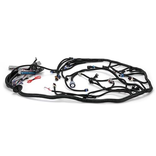 4L60E DBC LS Standalone Wiring Harness Compatible with GM LS1 1999-2006 Vortec