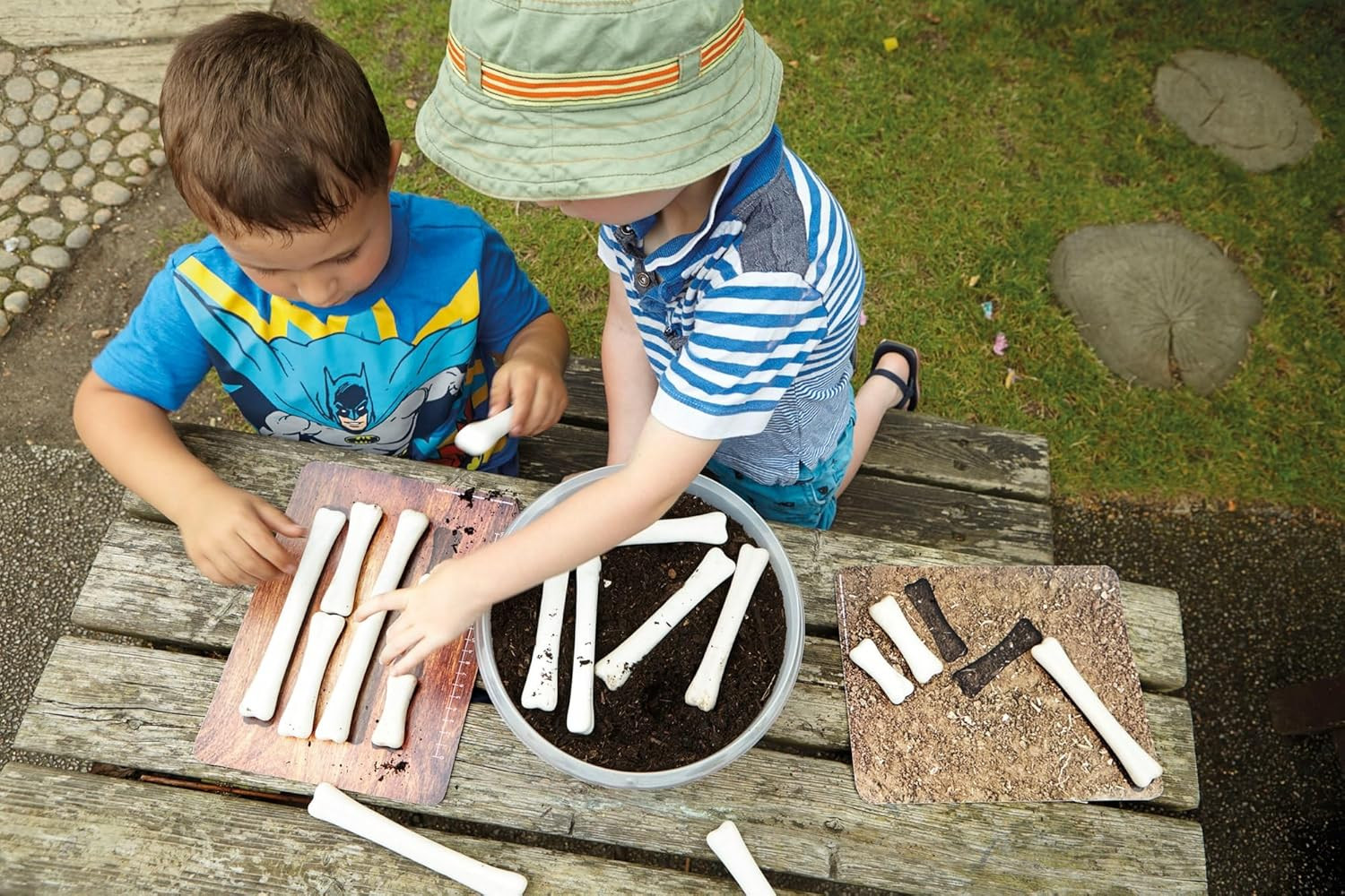 Dinosaur Bones Match & Measure Set, Multi