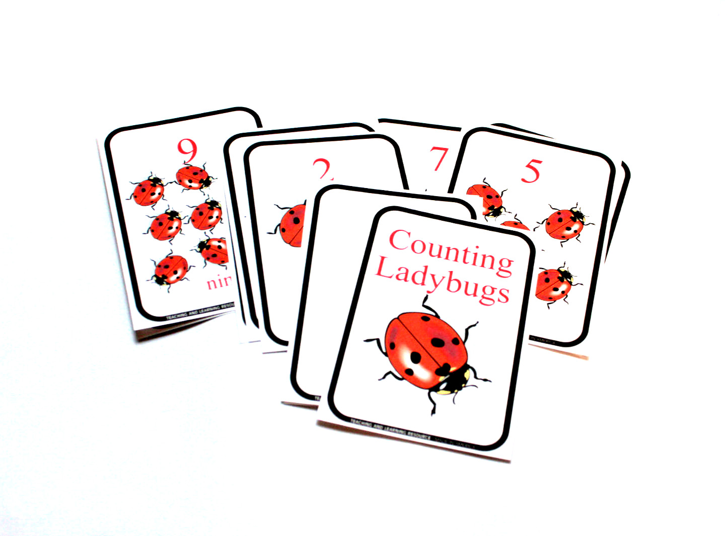 Preschool – 12 cards – Ladybug Counting Cards – Pre school Kindergarten Math