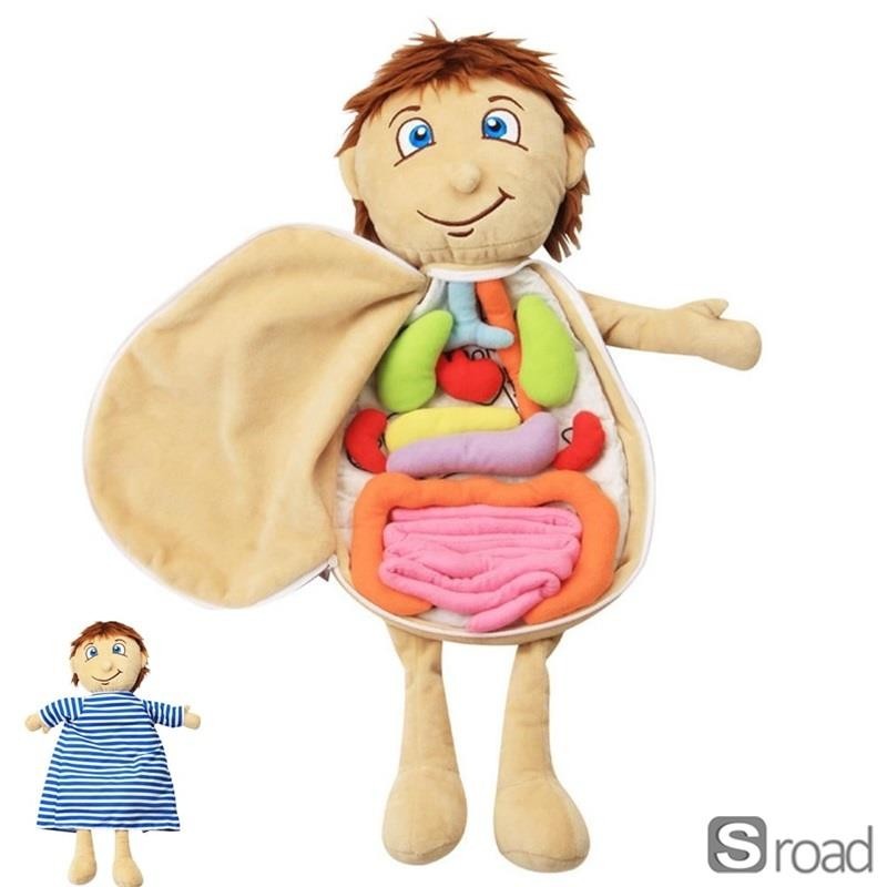 Human Body Anatomy Plush Toy Educational Doll Removable Organs STEM Learning Kid