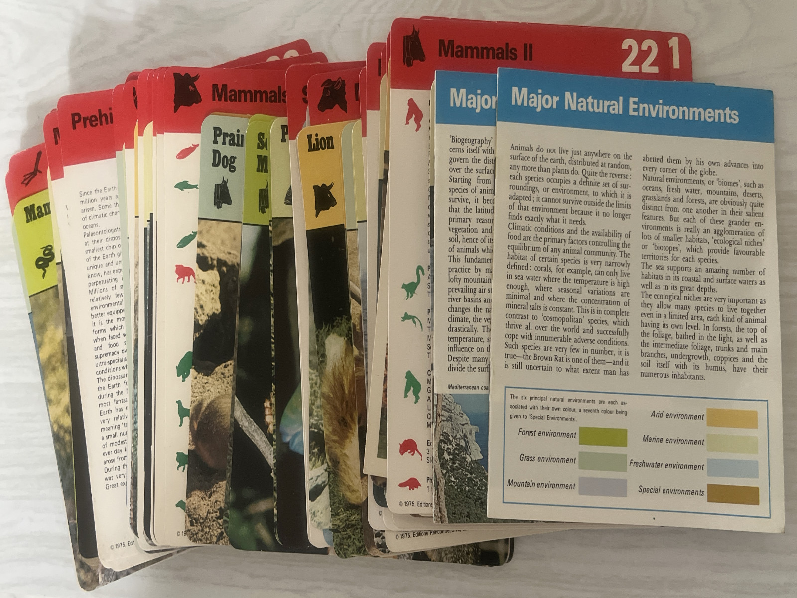 Vintage 131 1975 Animal Information Cards plus 2 booklets- Rencontre Lausanne