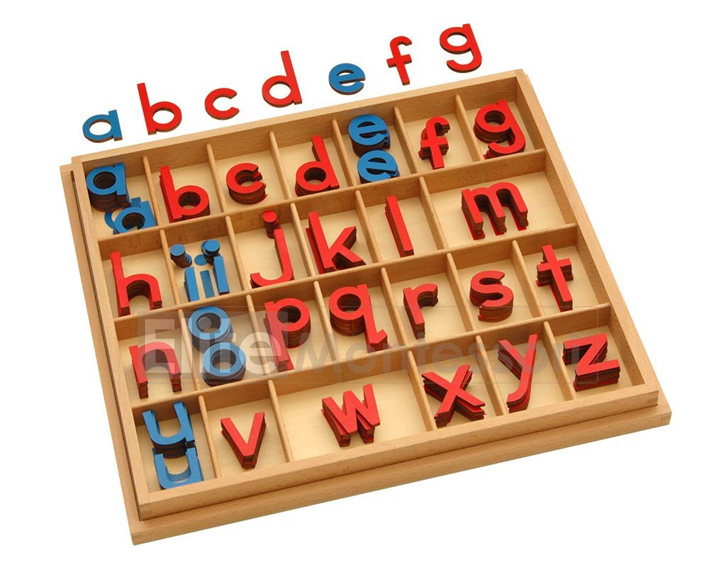 Elite Montessori Wooden Movable Alphabet with Box Preschool Spelling Learning Ma
