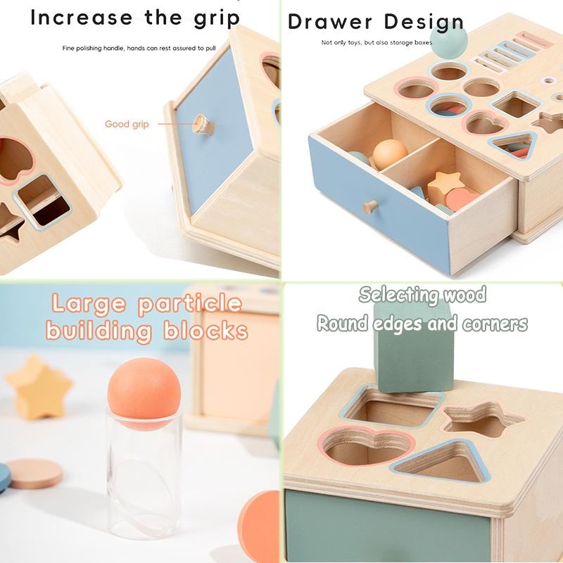 Montessori Wooden Sorting Blocks Color Shape Matching Educational Kids Early Toy