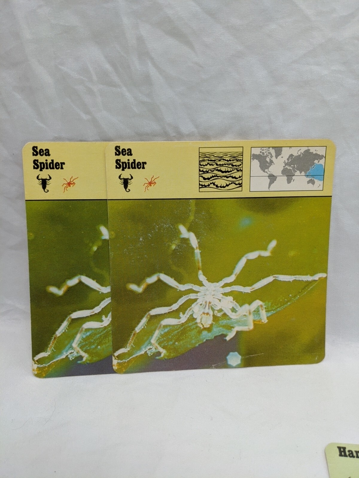 Lot Of (7) 1975 Rencontre Arthropods Education Cards