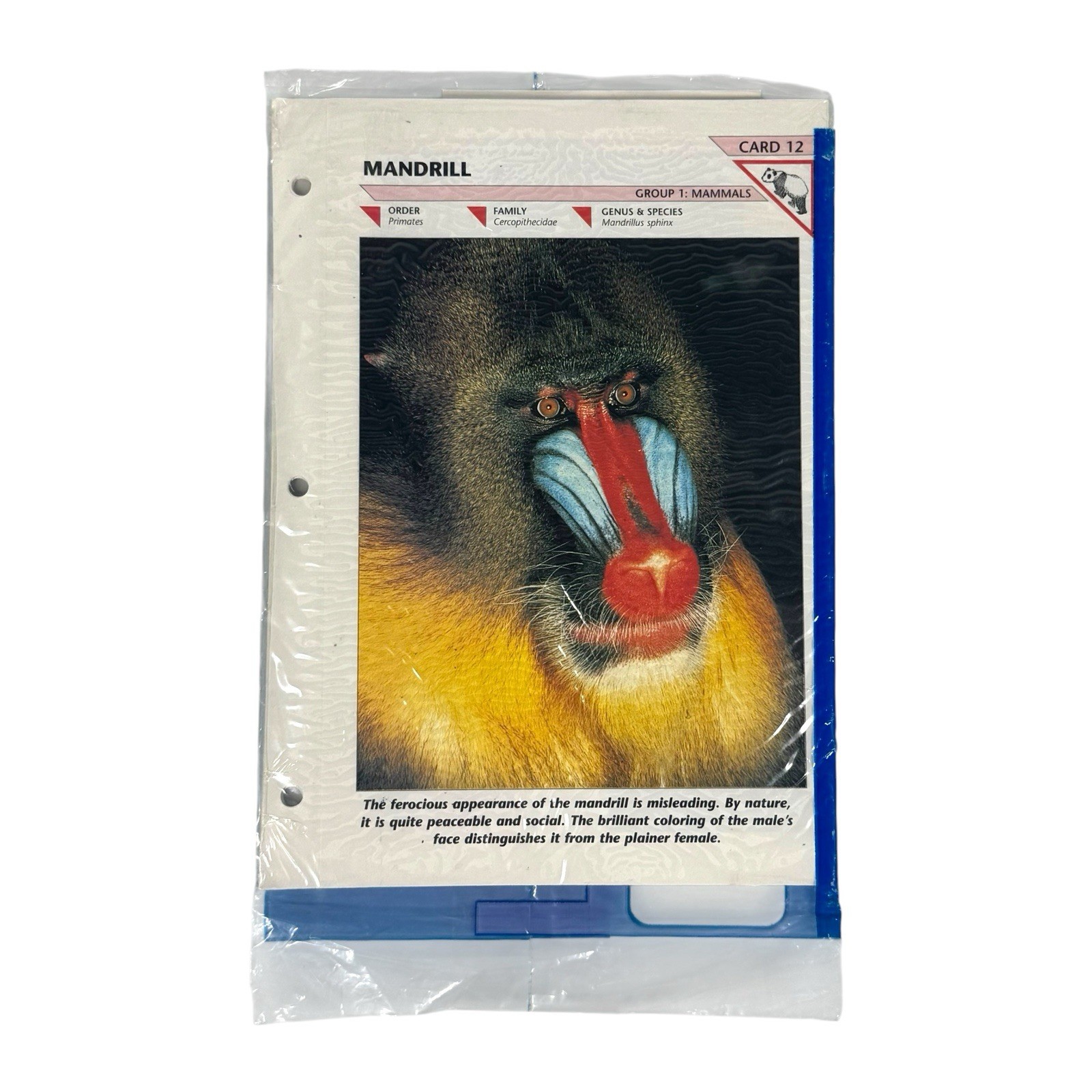 Vintage NOS Wildlife Fact File Binder + 13 Sealed Packs Of Cards