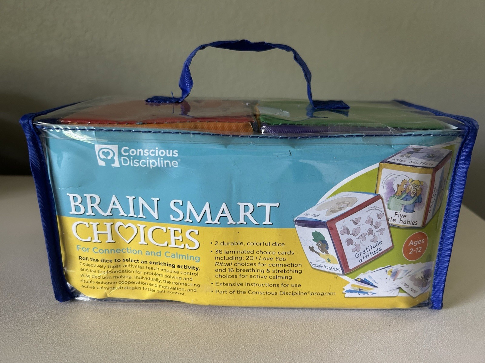 Conscious Discipline Brain Smart Choices Cubes For Connection & Ages 2-12
