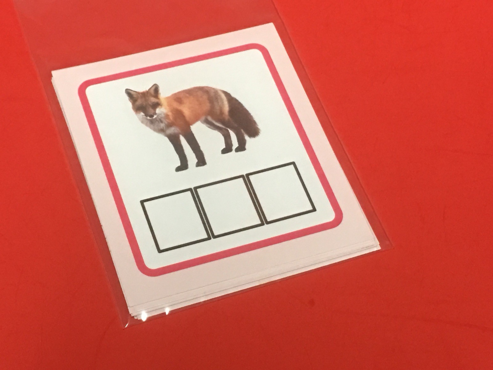 Pink Series Montessori – CVC WORD BUILDERS ACTIVITY CARDS – 60 Laminated Cards
