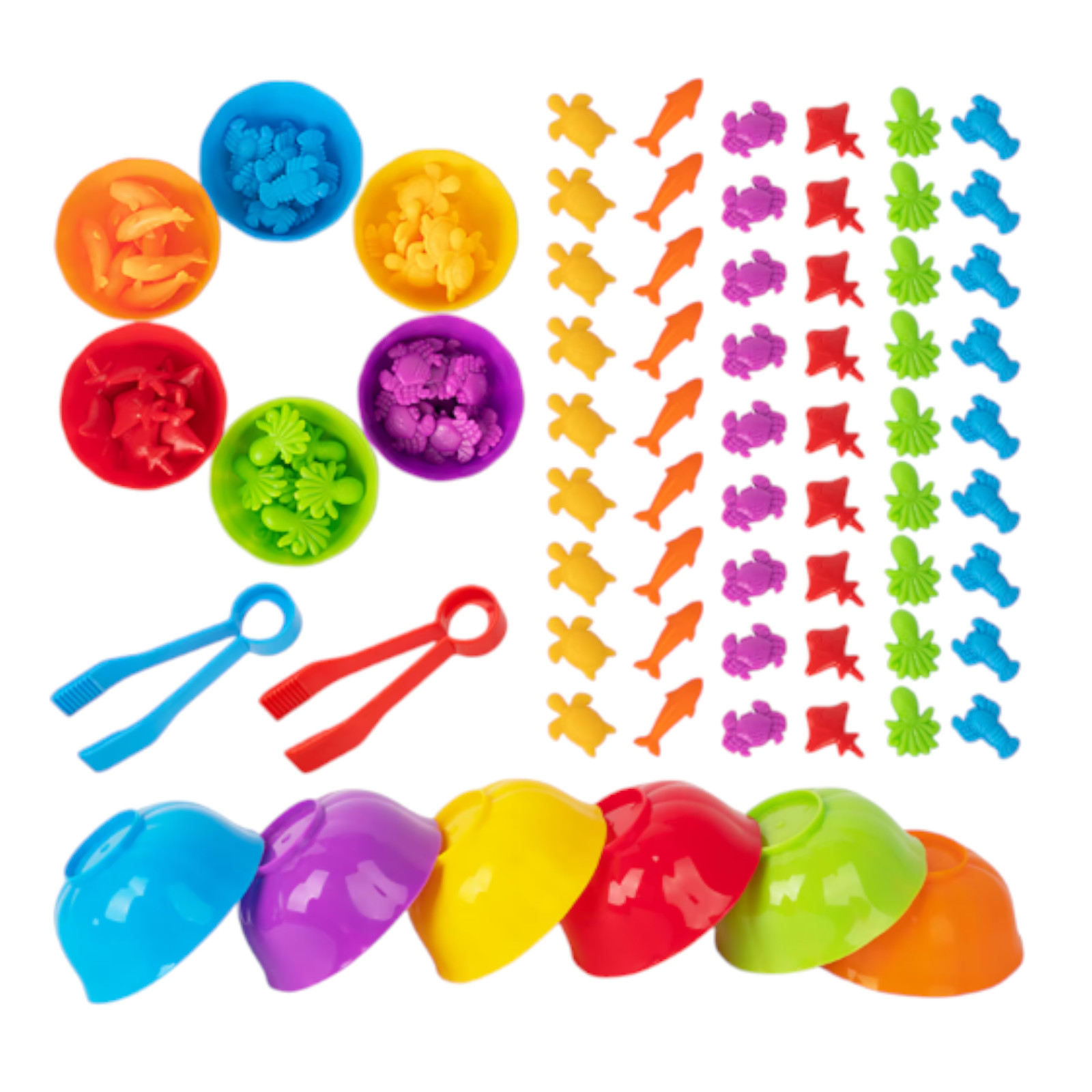 Animal Sorting Toy Color Matching Math Learning Set for Kids cartoon Dinosaurs