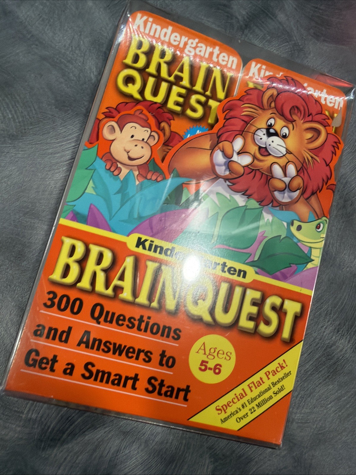 Brain Quest Kindergarten Ages 5-6 300 Q’s Rare, Special Flat Pack, Very HTF!