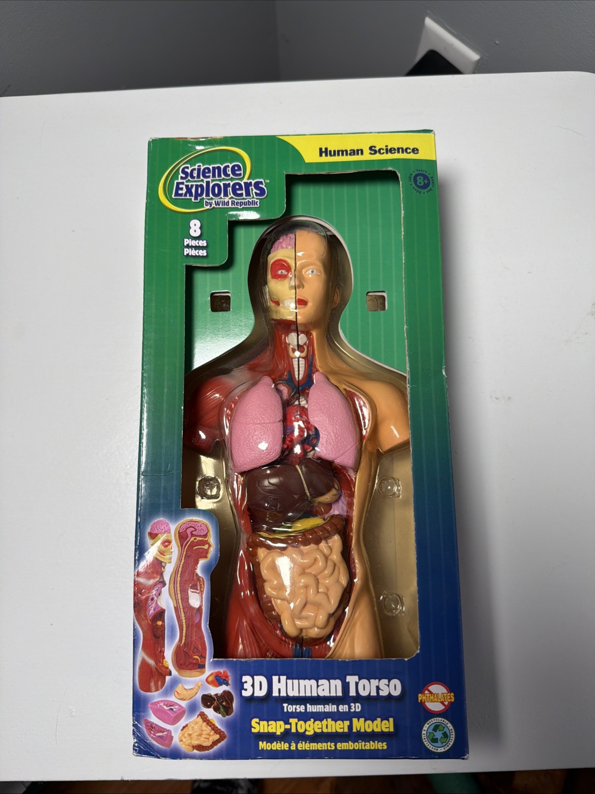 Science Explorers, Wild Republic 3-D Human Torso, Snapped Together Model 8 Pc￼