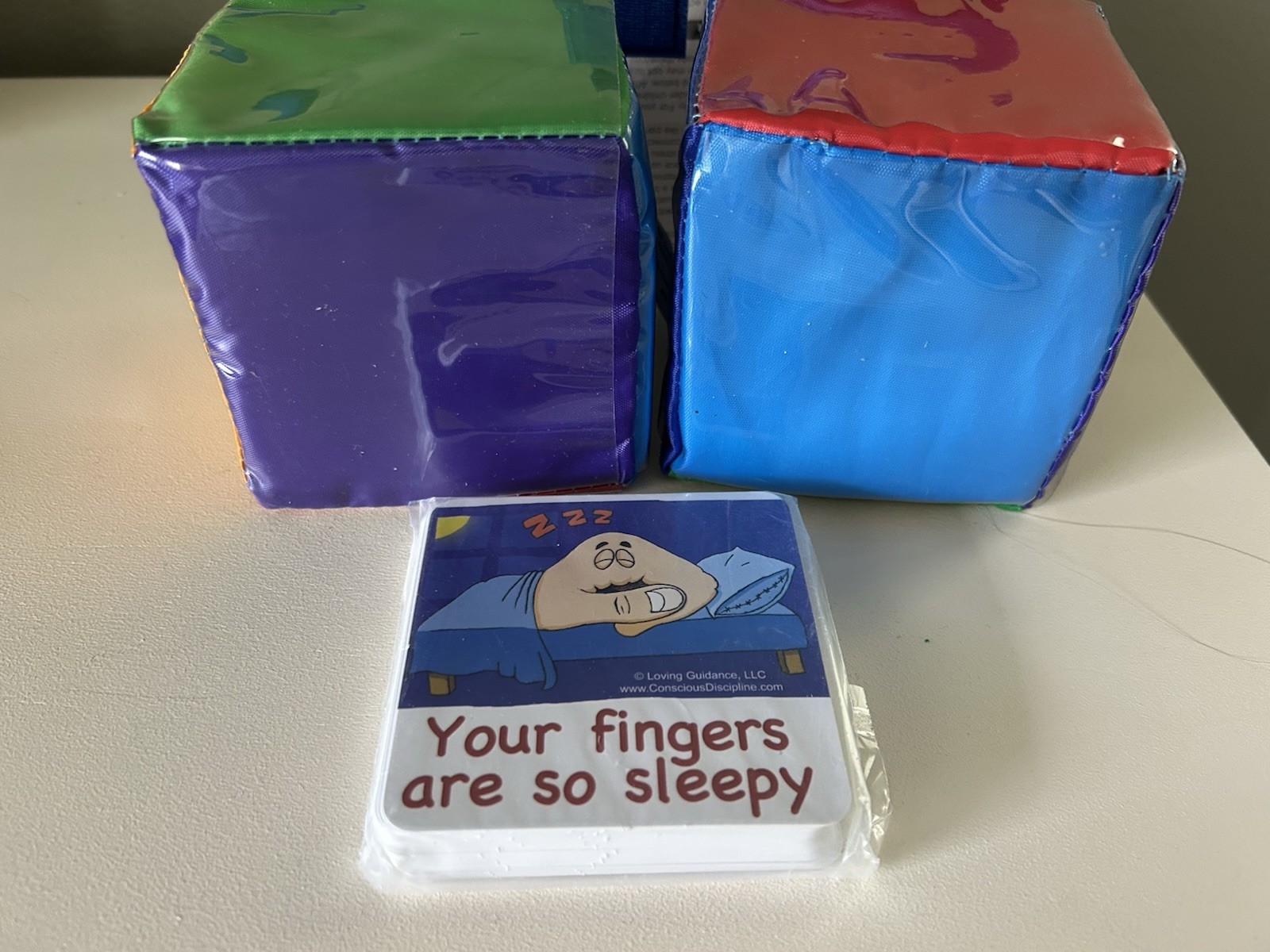 Conscious Discipline Brain Smart Choices Cubes For Connection & Ages 2-12