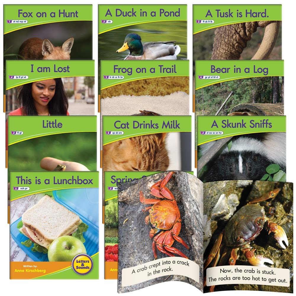 Blend Readers Non-Fiction Toy